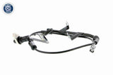 Sensor, wheel speed - V53-72-0040
