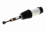 Air Suspension Strut - V58-50-0006