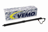 Electric Motor, tailgate - V48-55-0002