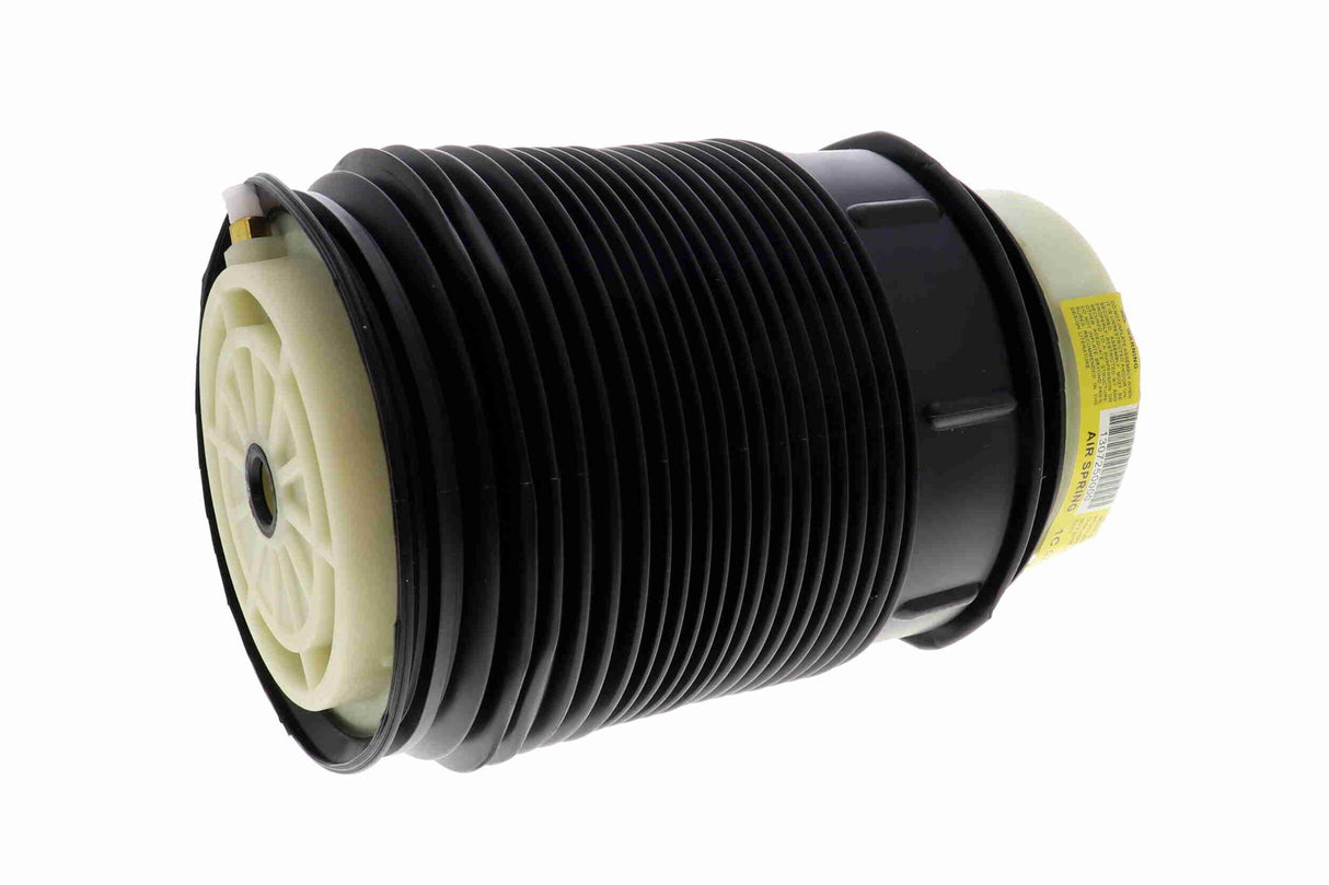 Air Suspension Strut - V30-50-0003-1