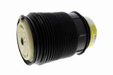 Air Suspension Strut - V30-50-0003-1