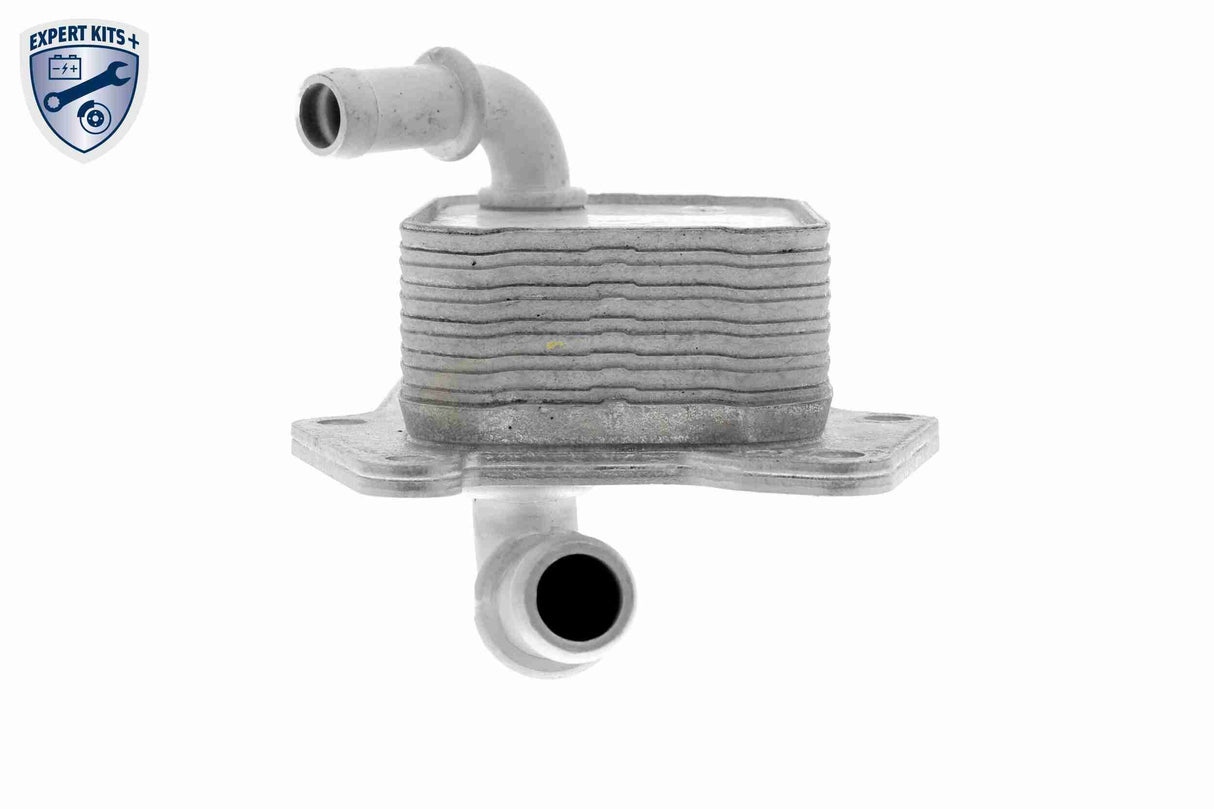 Oil Cooler, engine oil - V30-60-1341