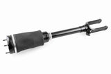 Air Suspension Strut - V30-50-0020-1