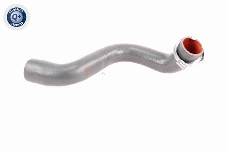 Charge Air Hose - V46-0823