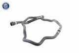 Radiator Hose - V20-1287