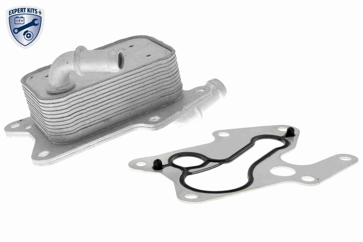 Oil Cooler, engine oil - V30-60-1341