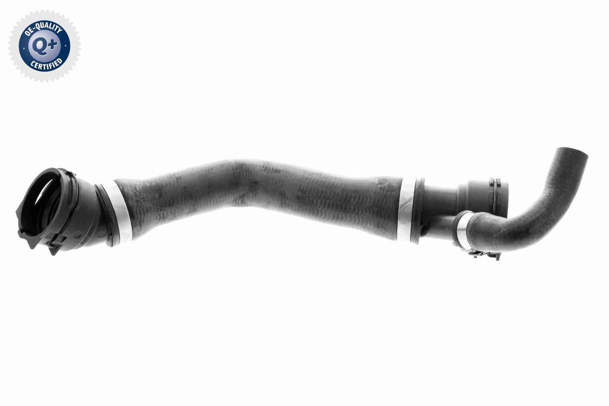 Radiator Hose - V20-1331