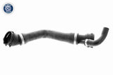 Radiator Hose - V20-1331