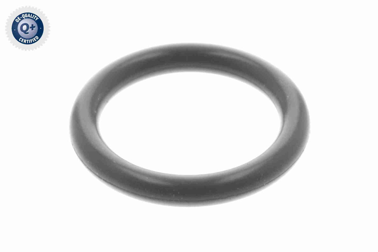 Seal Ring - V20-72-9901