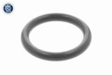 Seal Ring - V20-72-9901