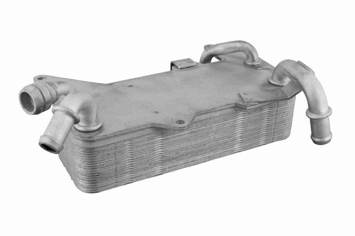 Oil Cooler, automatic transmission - V10-60-0044