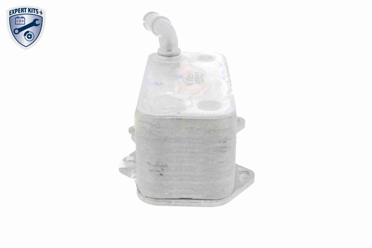 Oil Cooler, engine oil - V15-60-6018