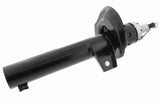Shock Absorber - V10-4955