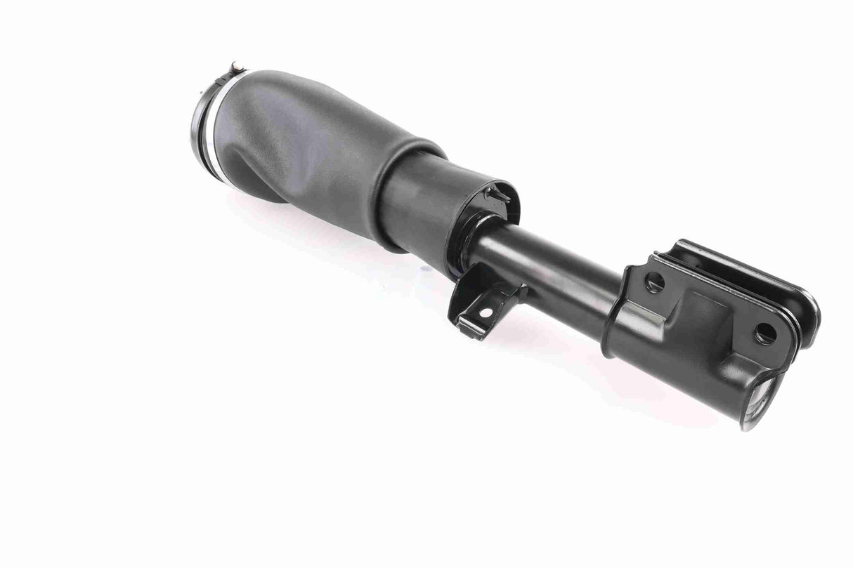 Air Suspension Strut - V48-50-0002