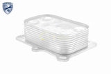 Oil Cooler, engine oil - V24-60-0014