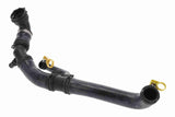 Radiator Hose - V48-0698