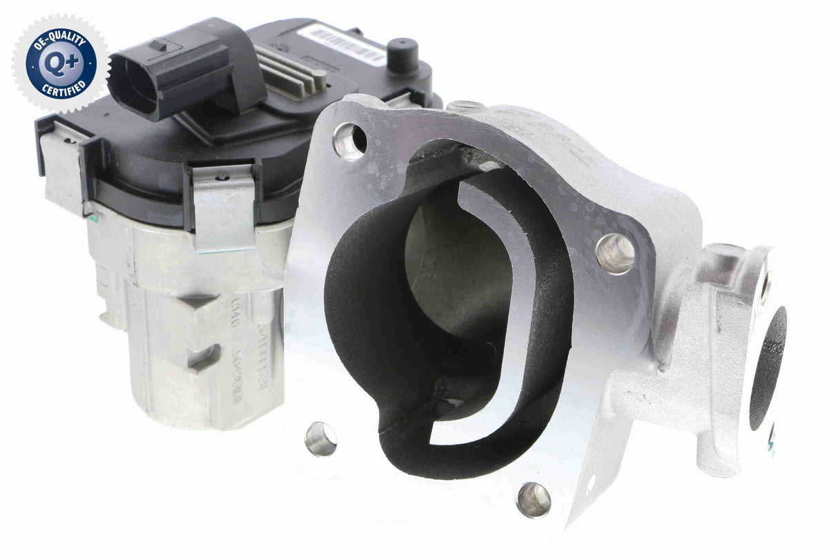 Throttle Body - V24-81-0010