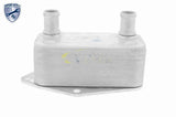 Oil Cooler, engine oil - V20-60-0062