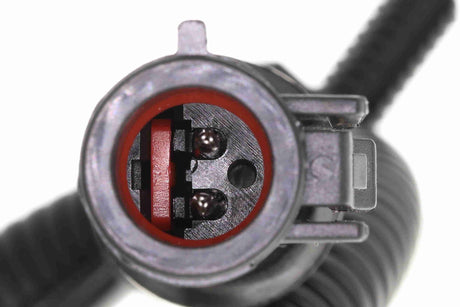 Sensor, wheel speed - V25-72-1164