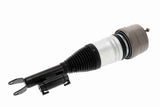 Air Suspension Strut - V30-50-0059