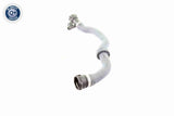 Radiator Hose - V20-1407