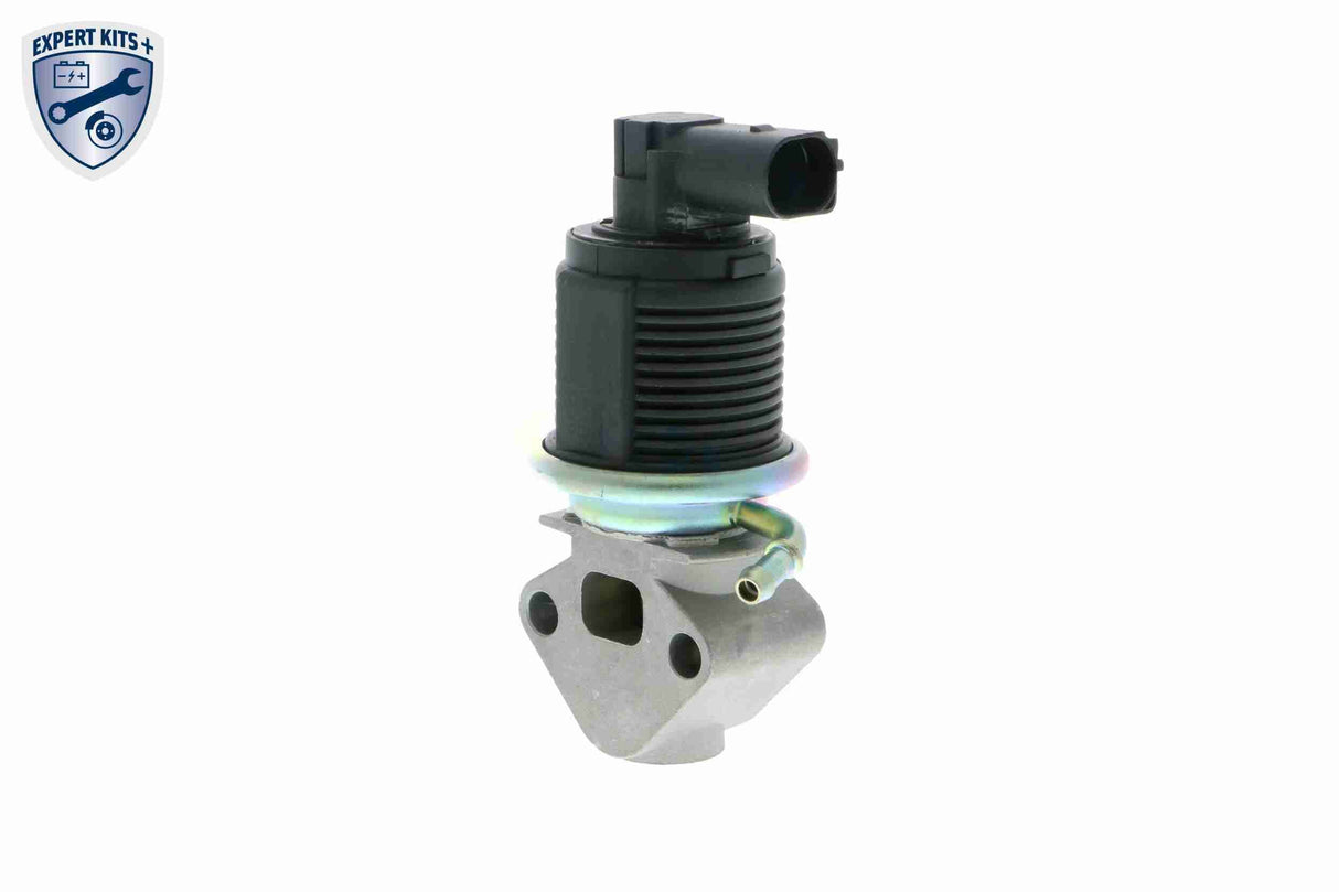 Valve, exhaust gas recirculation - V10-63-0003