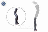 Charge Air Hose - V46-1032
