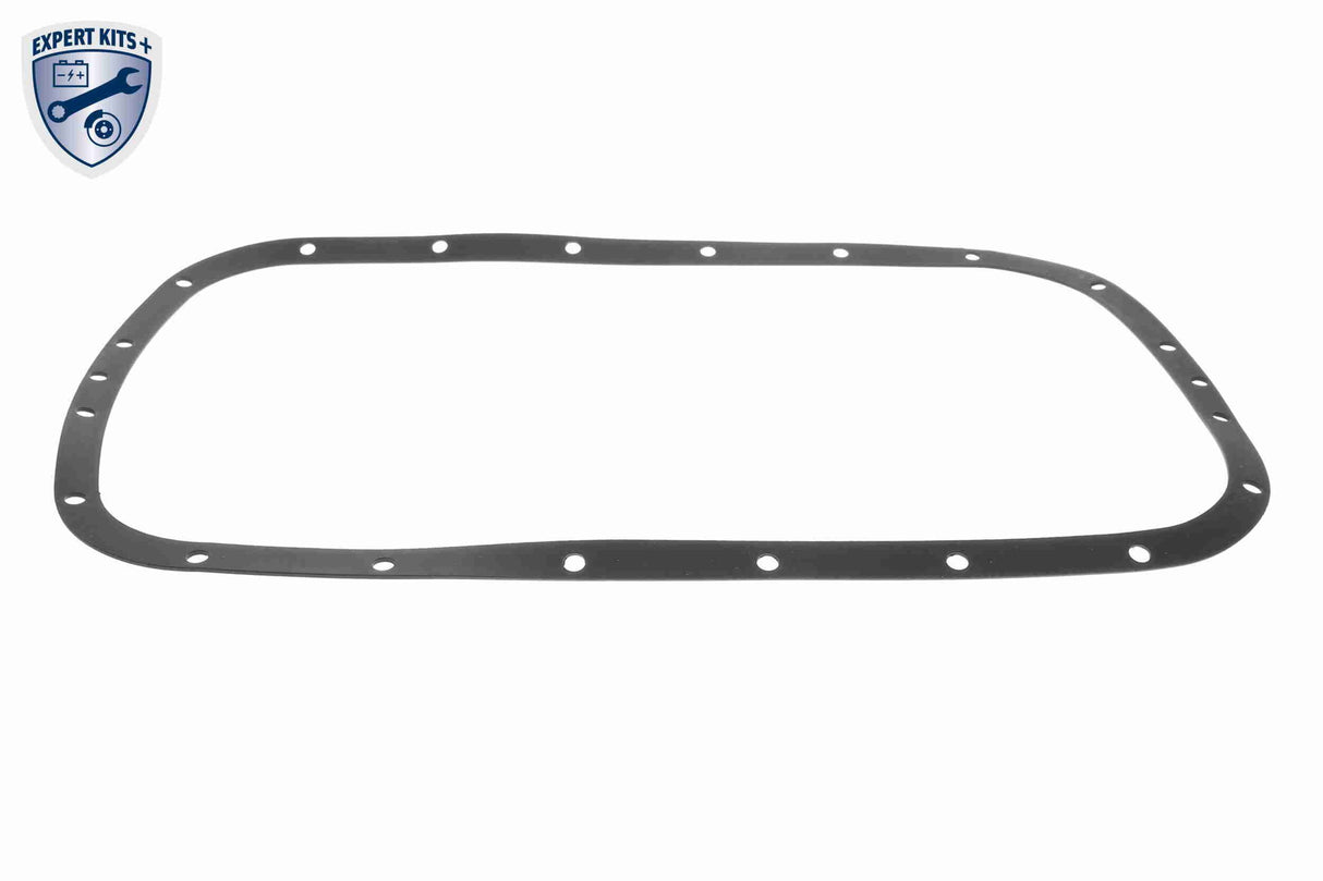 Hydraulic Filter Kit, automatic transmission - V20-0335