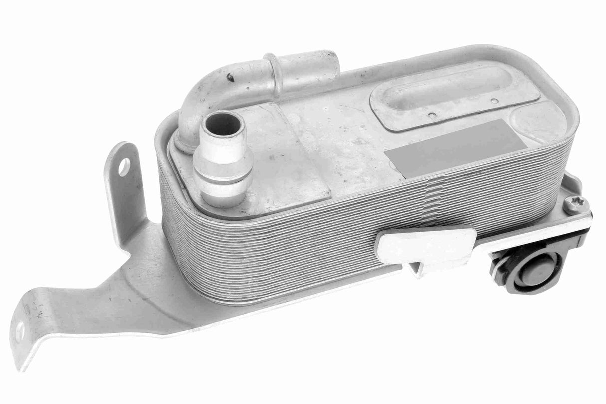 Oil Cooler, engine oil - V20-60-0053