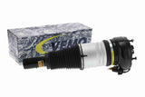 Air Suspension Strut - V15-50-0011