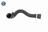 Radiator Hose - V20-0876