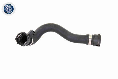 Radiator Hose - V20-0876