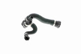 Radiator Hose - V20-1713