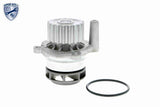 Water Pump & Timing Belt Kit - V10-50107