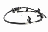 Hose, fuel overflow - V10-5512