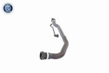 Radiator Hose - V20-1346