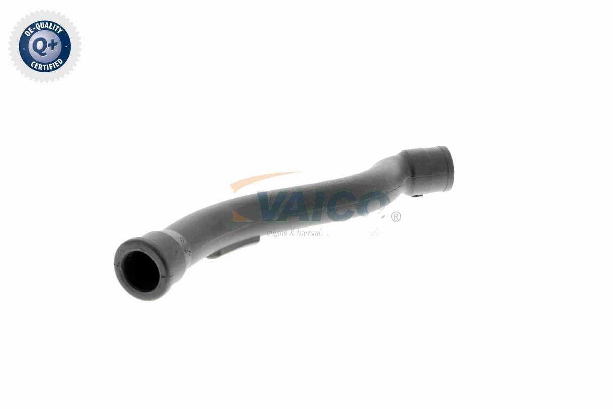 Hose, crankcase ventilation - V10-2938