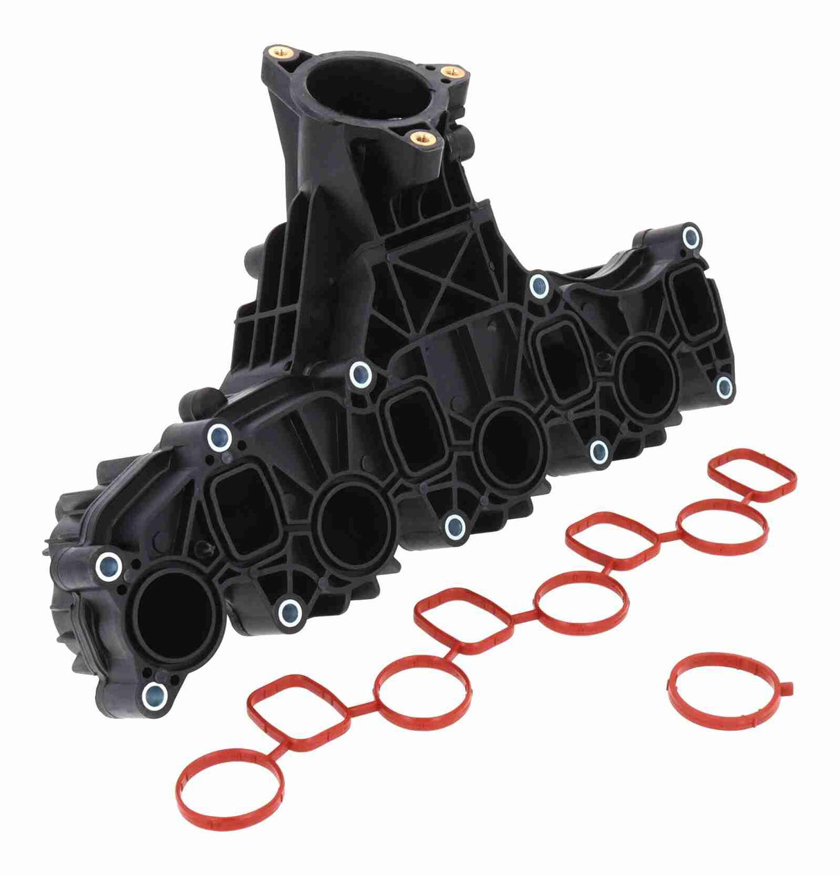 Intake Manifold Module - V10-6485