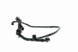 Hose, crankcase ventilation - V10-3094