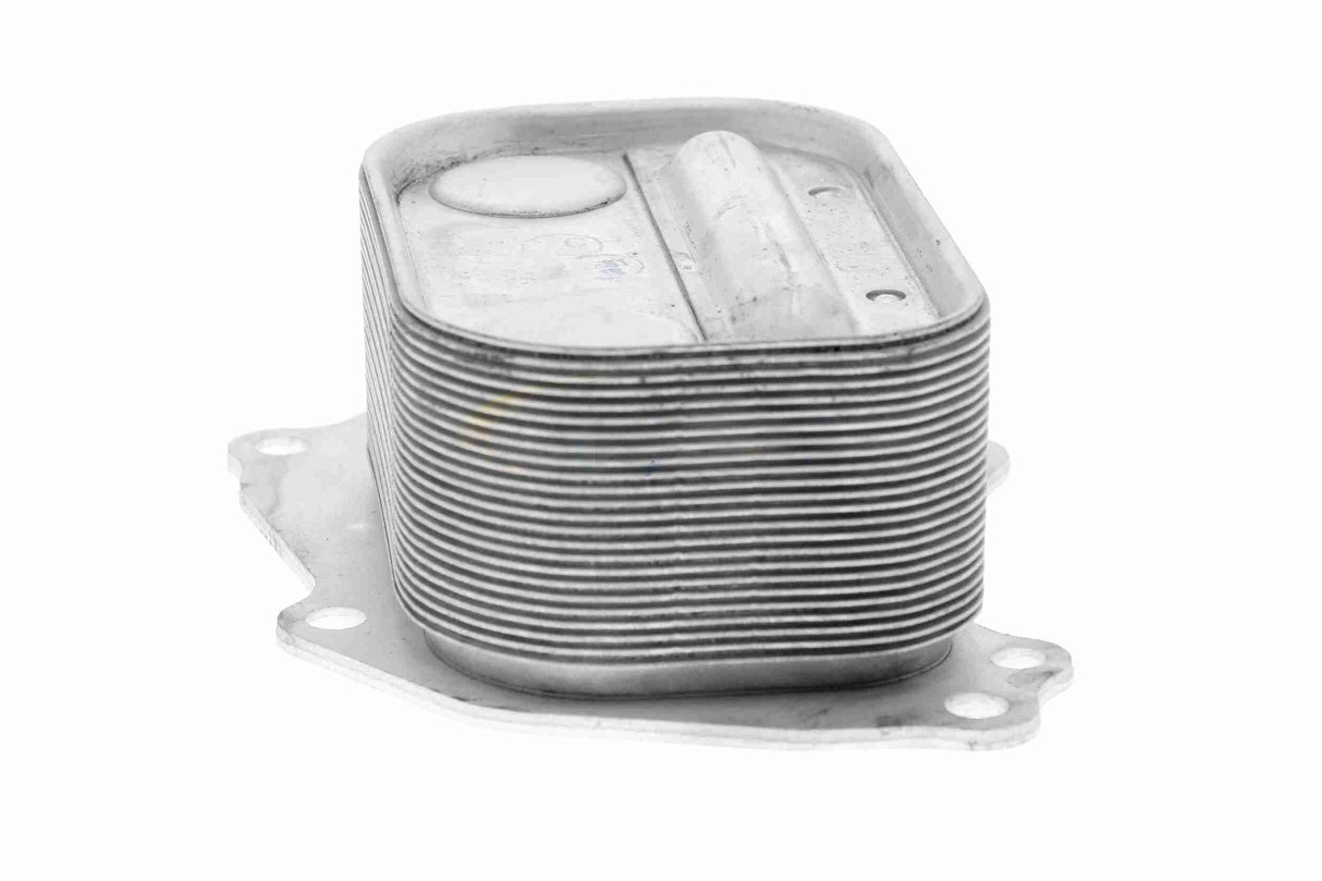 Oil Cooler, engine oil - V20-60-0049