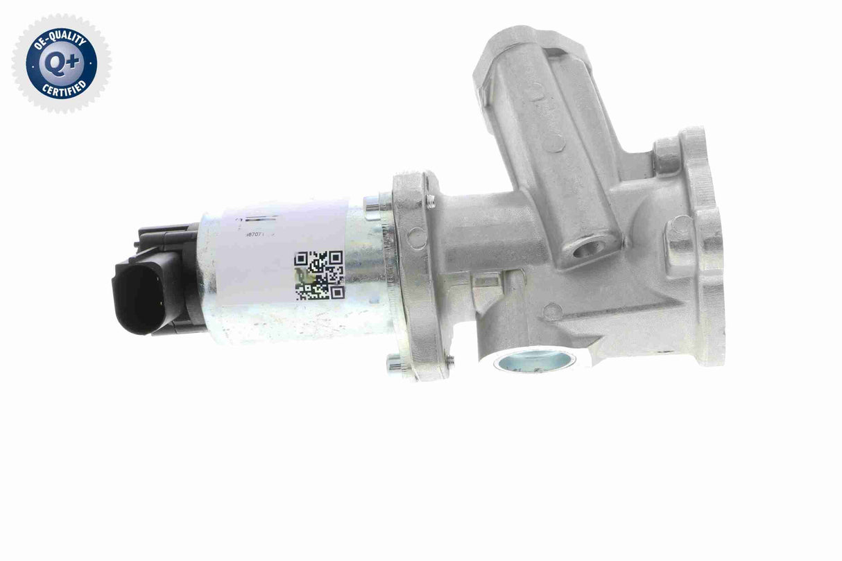 Valve, exhaust gas recirculation - V24-63-0004-1