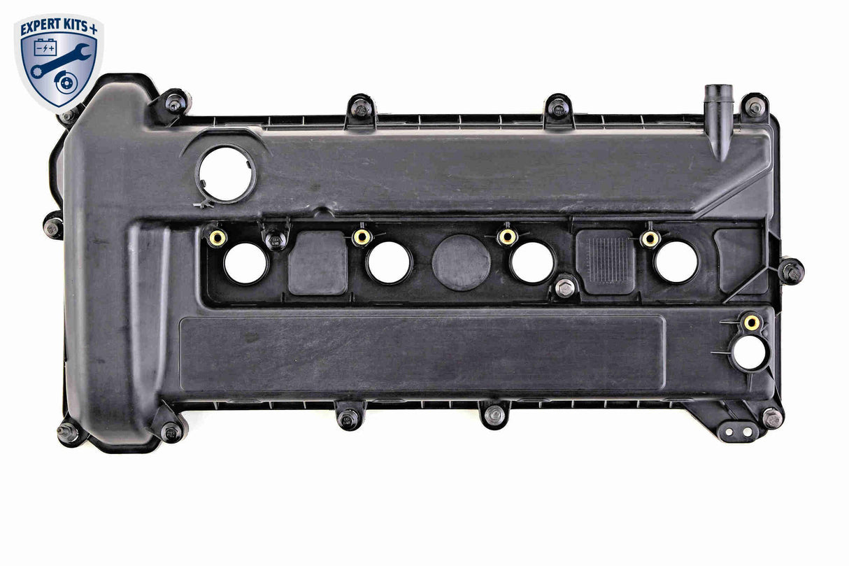 Cylinder Head Cover - V25-1179