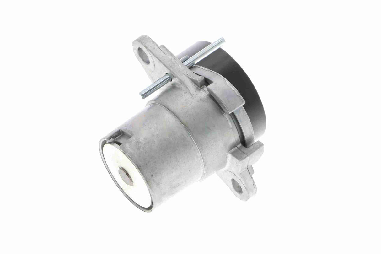 Tensioner Lever, V-ribbed belt - V10-4962