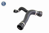 Radiator Hose - V20-2407