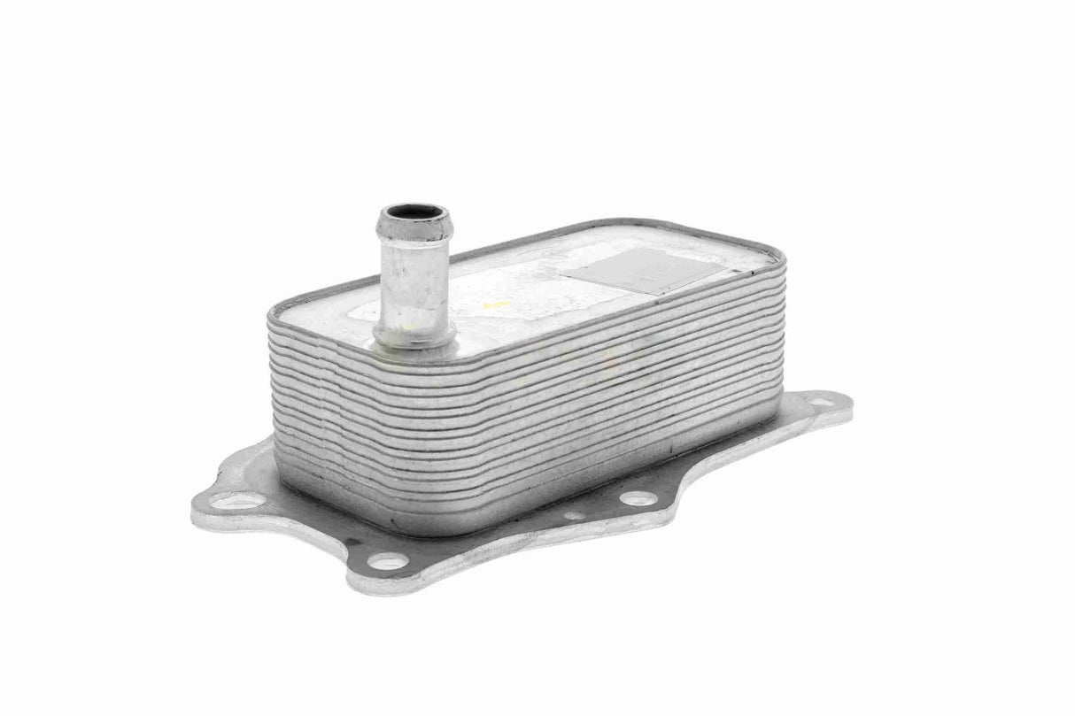 Oil Cooler, engine oil - V51-60-0004