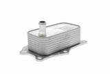 Oil Cooler, engine oil - V51-60-0004