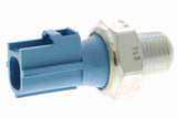 Oil Pressure Switch - V25-73-0019