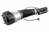 Air Suspension Strut - V30-50-0027