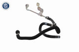 Radiator Hose - V24-1281