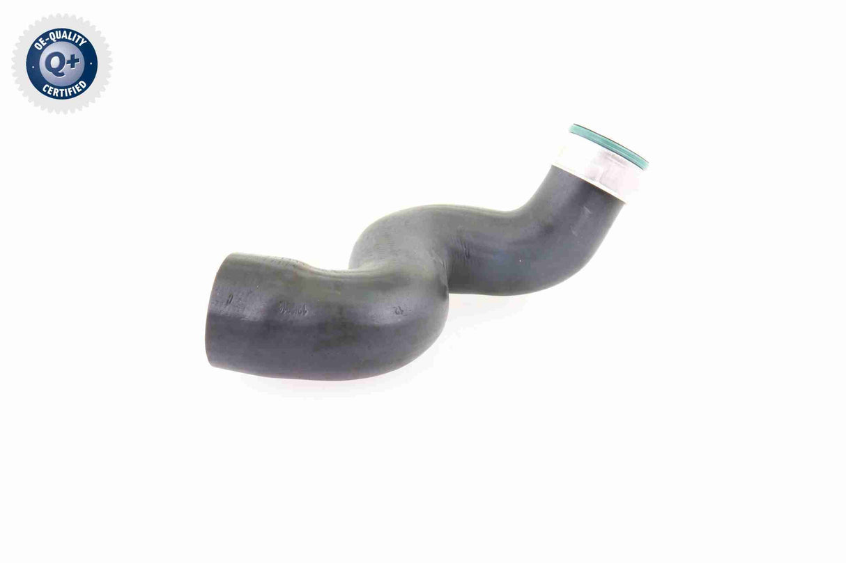 Charge Air Hose - V10-3825
